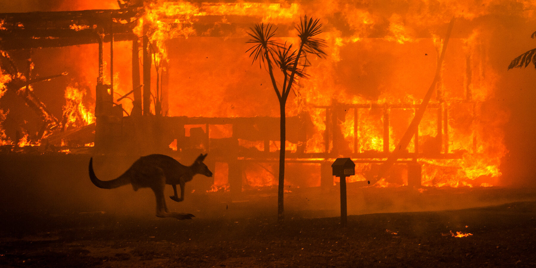 bush-fires bush-fires